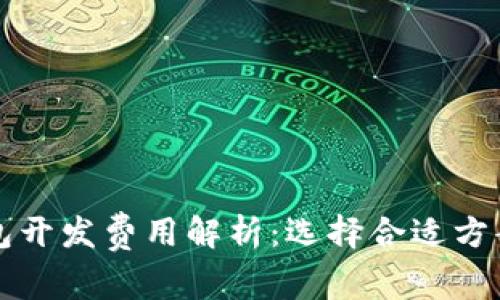 滨州区块链钱包开发费用解析：选择合适方案的全方位指南
