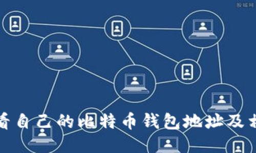 如何查看自己的比特币钱包地址及相关信息