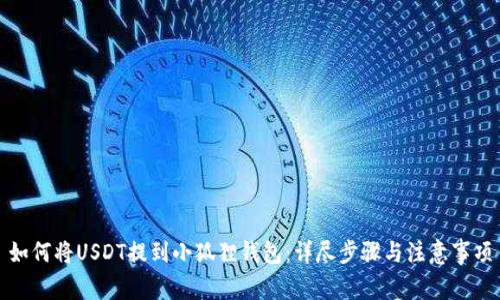 如何将USDT提到小狐狸钱包：详尽步骤与注意事项