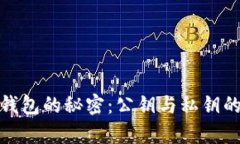 : 区块链钱包的秘密：公钥