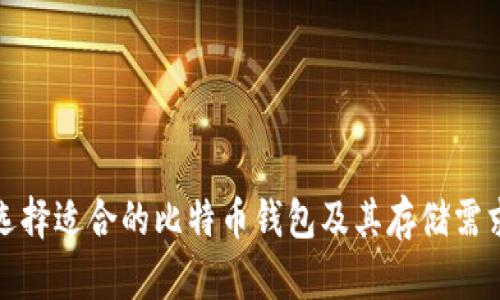 如何选择适合的比特币钱包及其存储需求详解