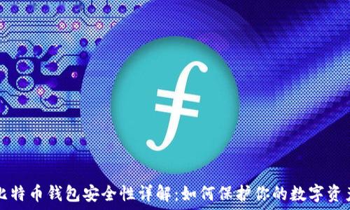   
比特币钱包安全性详解：如何保护你的数字资产