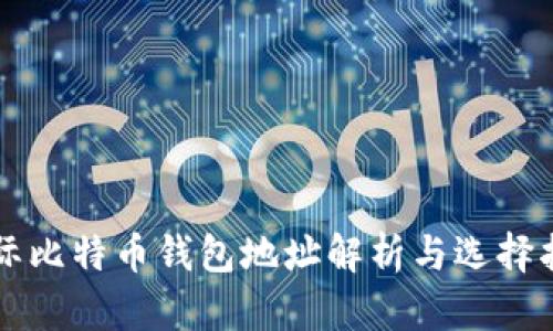 国际比特币钱包地址解析与选择指南