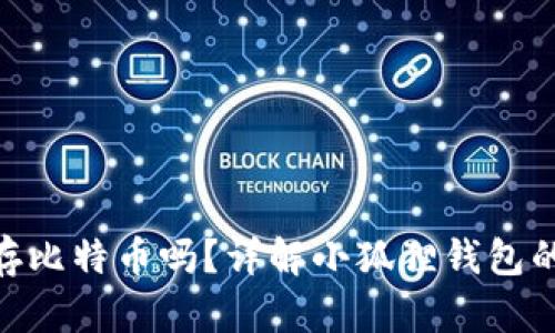 : 小狐狸钱包能存比特币吗？详解小狐狸钱包的功能与使用体验