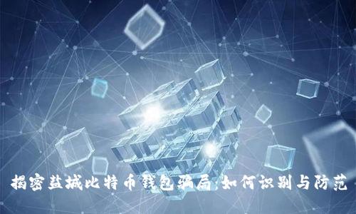 揭密盐城比特币钱包骗局：如何识别与防范