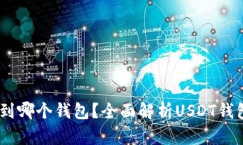 USDT能转到哪个钱包？全面解析USDT钱包选择指南