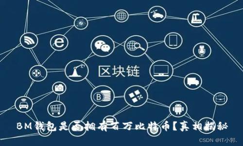 BM钱包是否拥有百万比特币？真相揭秘