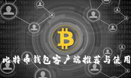 国内比特币钱包客户端推荐与使用指南