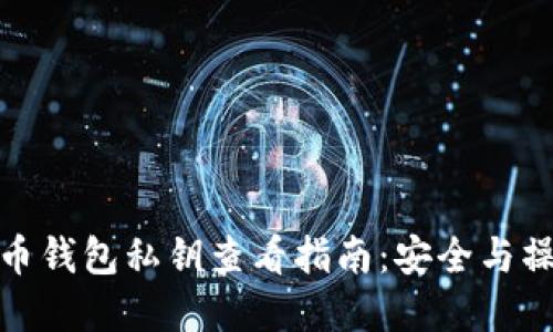 : 比特币钱包私钥查看指南：安全与操作详解