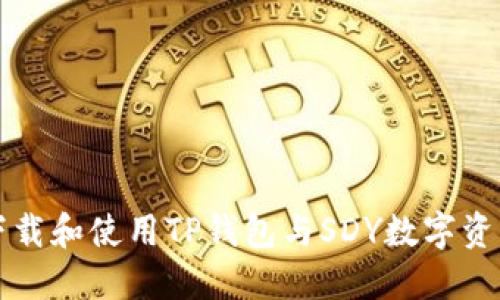 如何安全下载和使用TP钱包与SDY数字资产管理指南