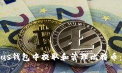 如何在Plus钱包中提取和管
