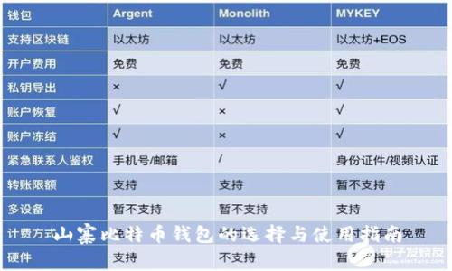 山寨比特币钱包的选择与使用指南