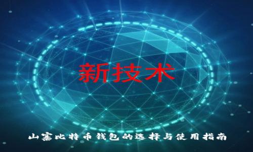 山寨比特币钱包的选择与使用指南
