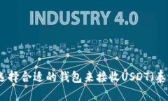 如何选择合适的钱包来接