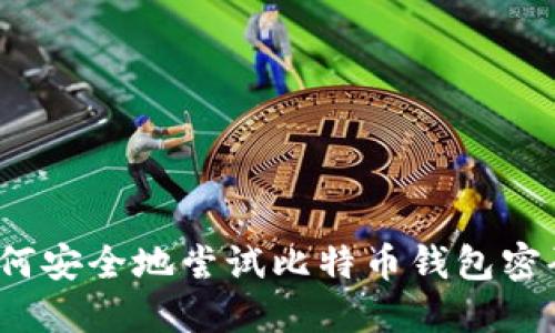 如何安全地尝试比特币钱包密码？