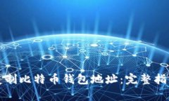 如何安全地复制比特币钱