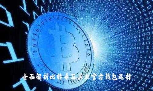 全面解析比特币及其非官方钱包选择