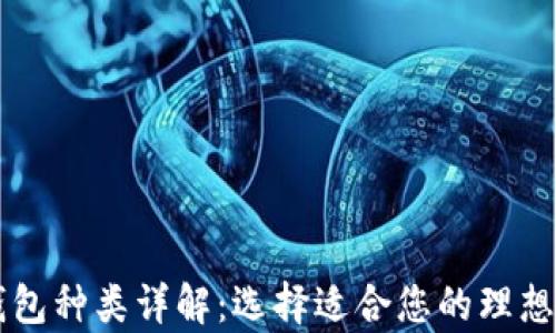 
虚拟币钱包种类详解：选择适合您的理想存储方式