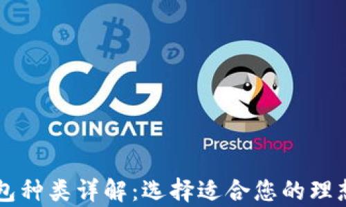 
虚拟币钱包种类详解：选择适合您的理想存储方式