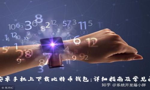 如何在安卓手机上下载比特币钱包：详细指南及常见问题解答