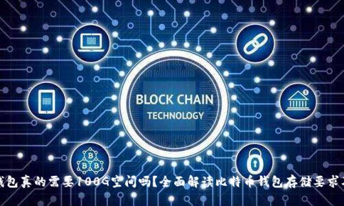 比特币钱包真的需要100G空间吗？全面解读比特币钱包存储要求及其影响