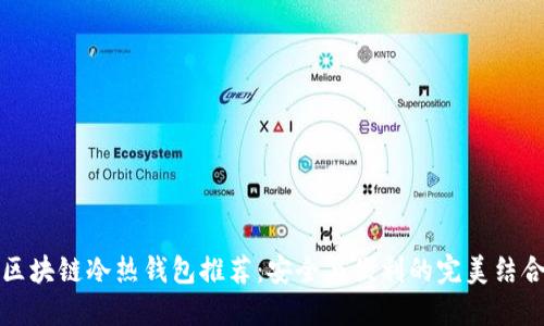 区块链冷热钱包推荐：安全与便利的完美结合