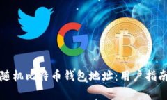如何生成和管理随机比特