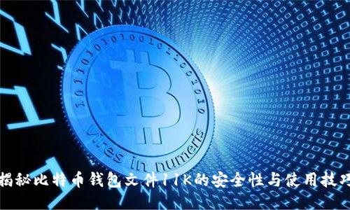 揭秘比特币钱包文件11K的安全性与使用技巧