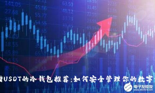 存储USDT的冷钱包推荐：如何安全管理你的数字资产