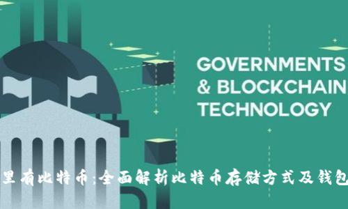 什么钱包里有比特币：全面解析比特币存储方式及钱包选择指南