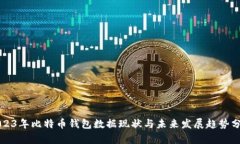 2023年比特币钱包数据现状