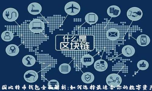 
2023年美国比特币钱包全面解析：如何选择最适合你的数字资产存储方式