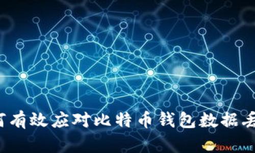 如何有效应对比特币钱包数据丢失？