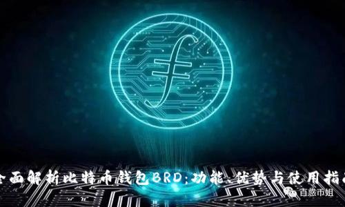 全面解析比特币钱包BRD：功能、优势与使用指南