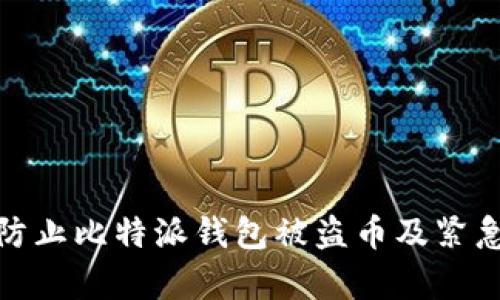 如何有效防止比特派钱包被盗币及紧急处理措施