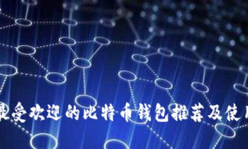 国内最受欢迎的比特币钱包推荐及使用指南