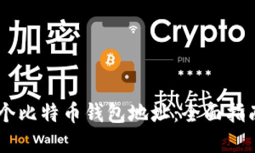 如何查询10个比特币钱包地址：全面指南与实用技巧