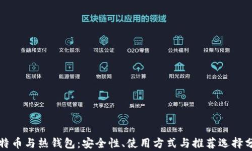 
比特币与热钱包：安全性、使用方式与推荐选择分析