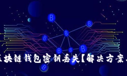 如何应对区块链钱包密钥丢失？解决方案与预防措施