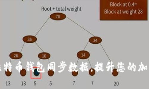如何快速导入比特币钱包同步数据，提升您的加密货币管理效率