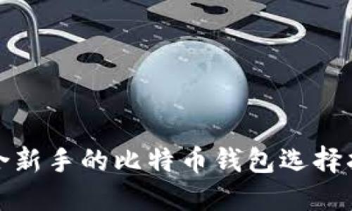 适合新手的比特币钱包选择指南