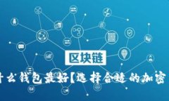买虚拟币用什么钱包最好