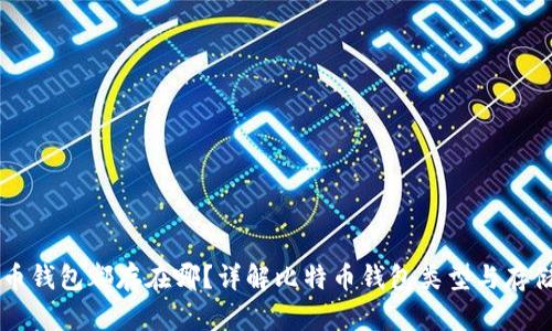 比特币钱包都存在哪？详解比特币钱包类型与存储位置