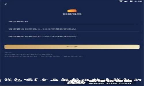 比特币必须有钱包吗？全面解析比特币钱包的必要性与选择