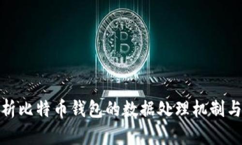 全面解析比特币钱包的数据处理机制与安全性