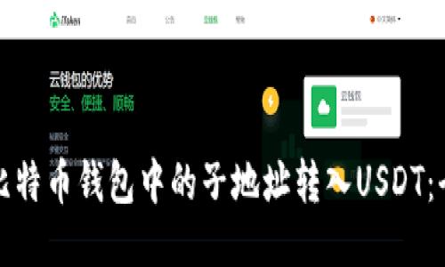 如何将比特币钱包中的子地址转入USDT：全面指南