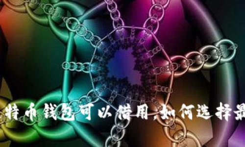 全面解析：什么比特币钱包可以借用，如何选择最安全可靠的选项