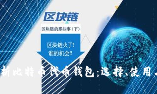  全面解析比特币代币钱包：选择、使用与安全性