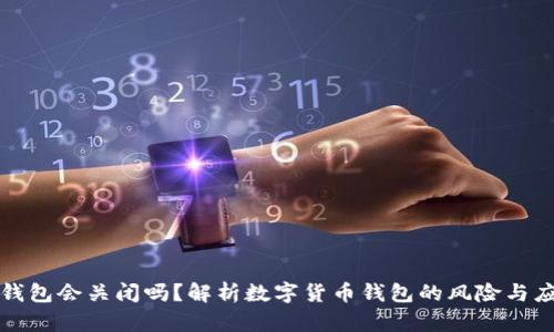 比特币钱包会关闭吗？解析数字货币钱包的风险与应对策略