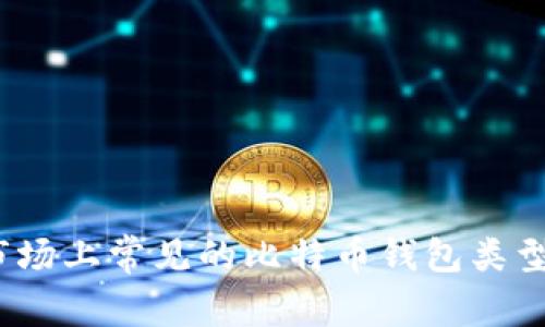 深入比较：市场上常见的比特币钱包类型与选择指南